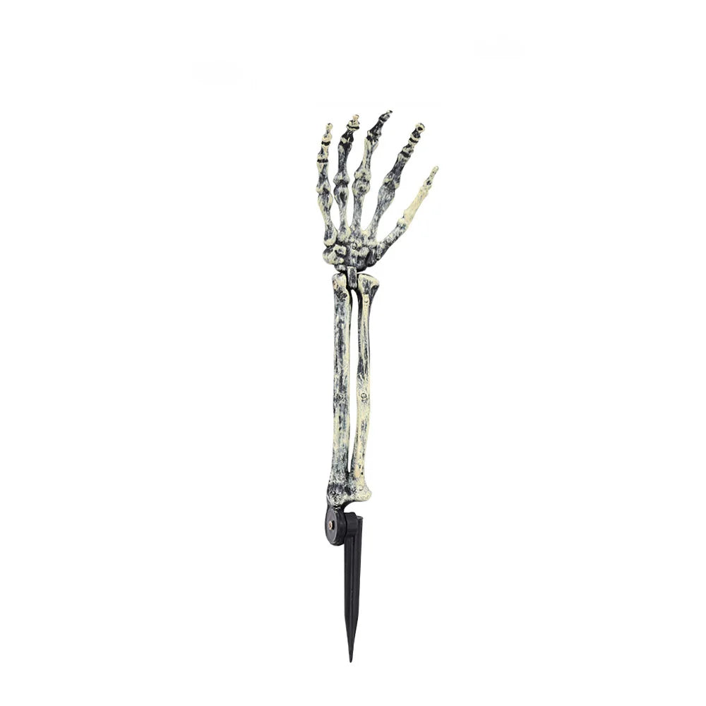 Skeleton Head and Arm Props