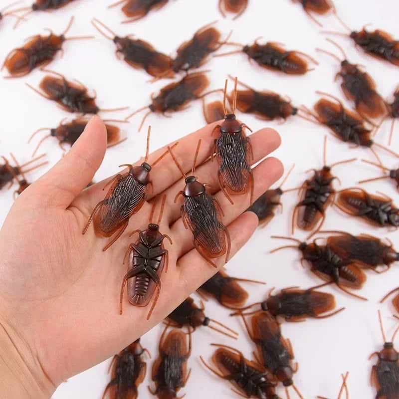 Fake Cockroach Prank Props