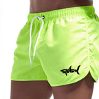 Mesh Quick-Dry Sport Shorts
