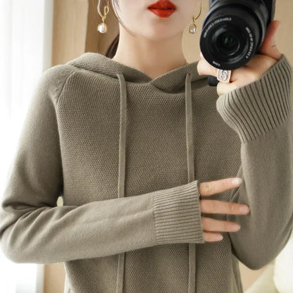 Hooded Knit Pullover Top