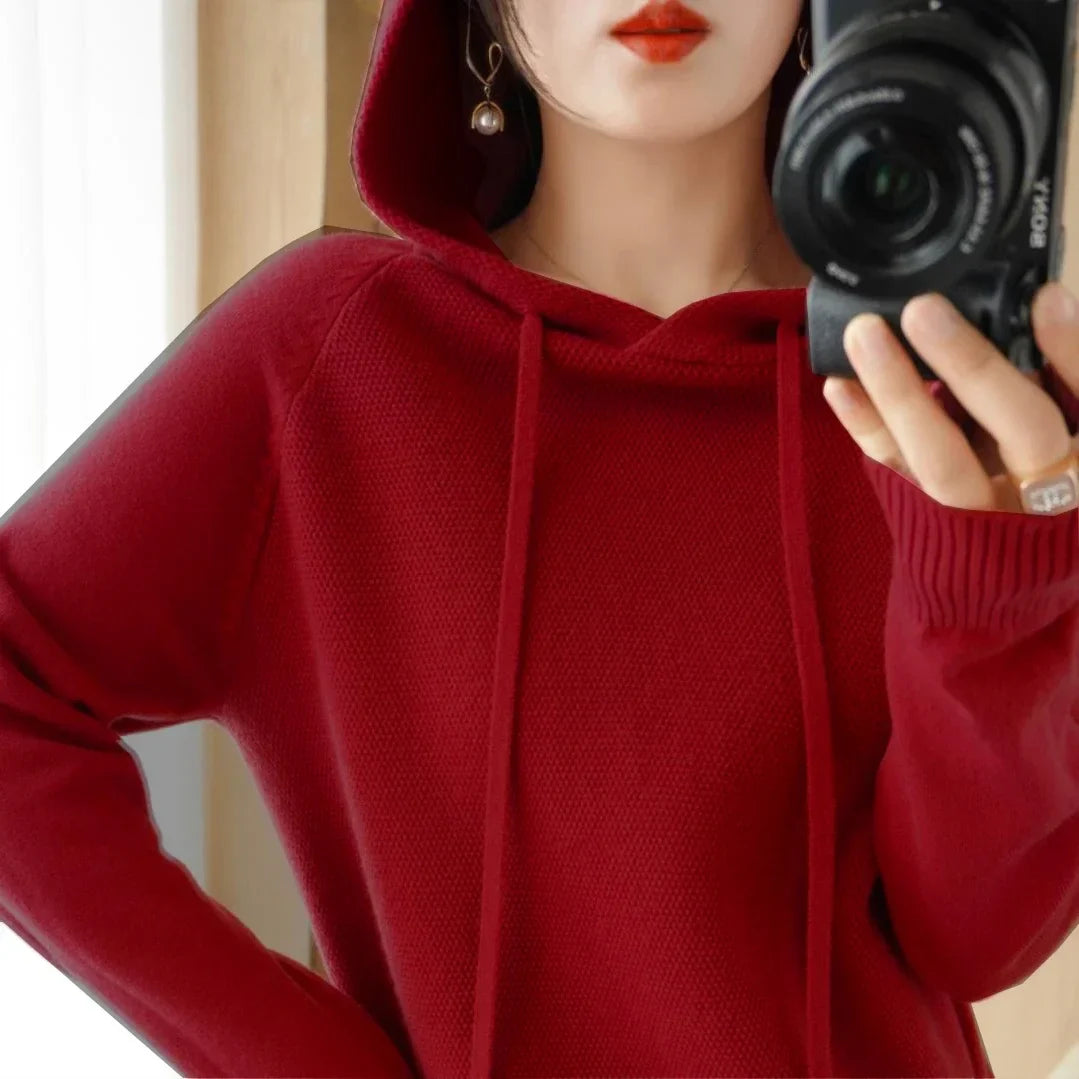 Hooded Knit Pullover Top