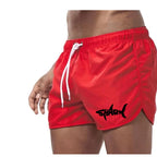 Mesh Quick-Dry Sport Shorts