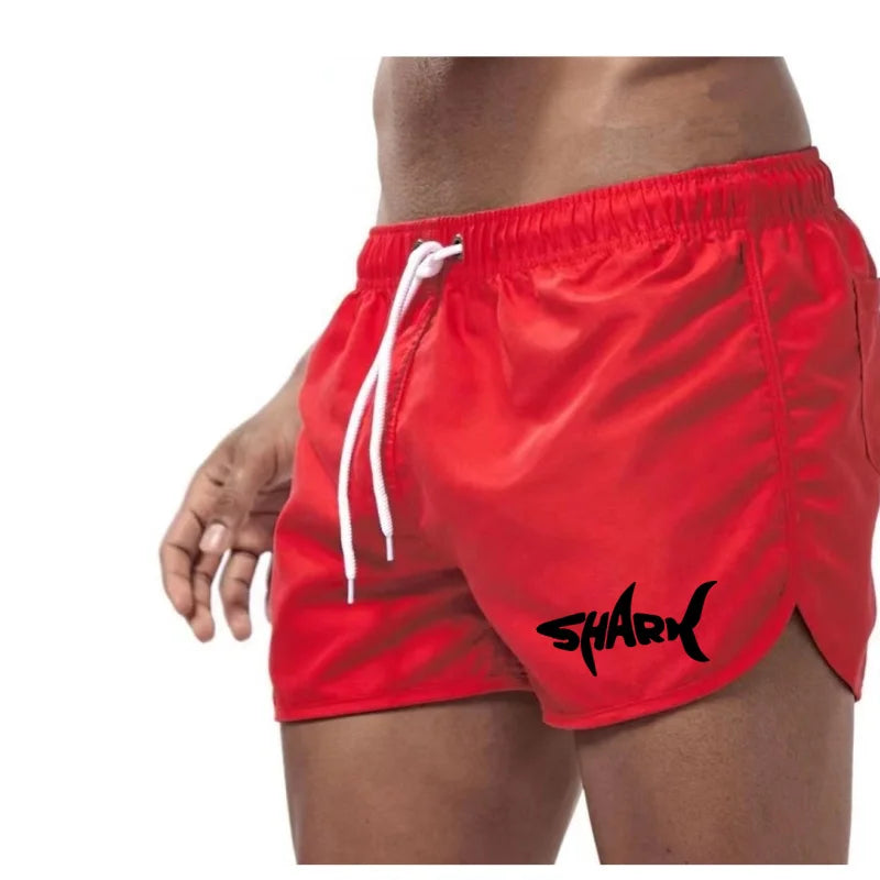 Mesh Quick-Dry Sport Shorts