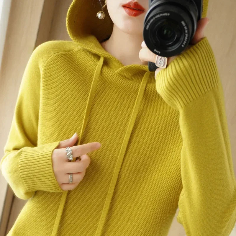 Hooded Knit Pullover Top