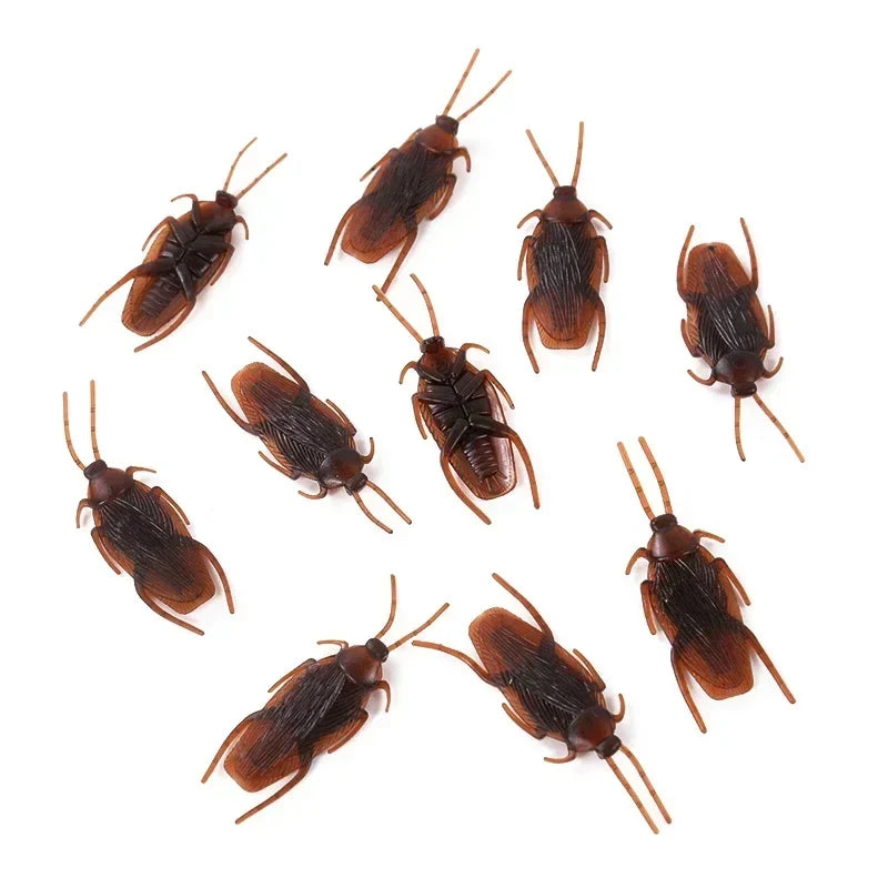 Fake Cockroach Prank Props