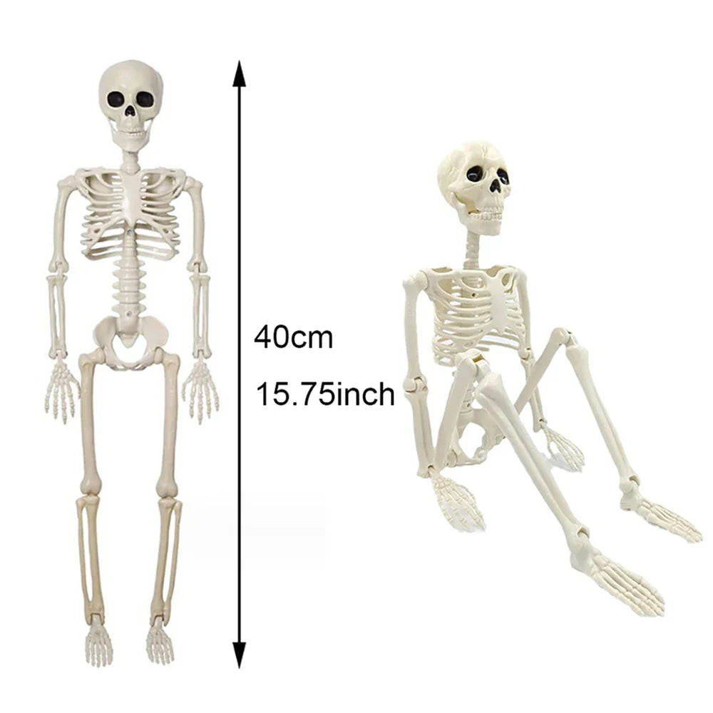 Halloween Posable Skeleton Decoration