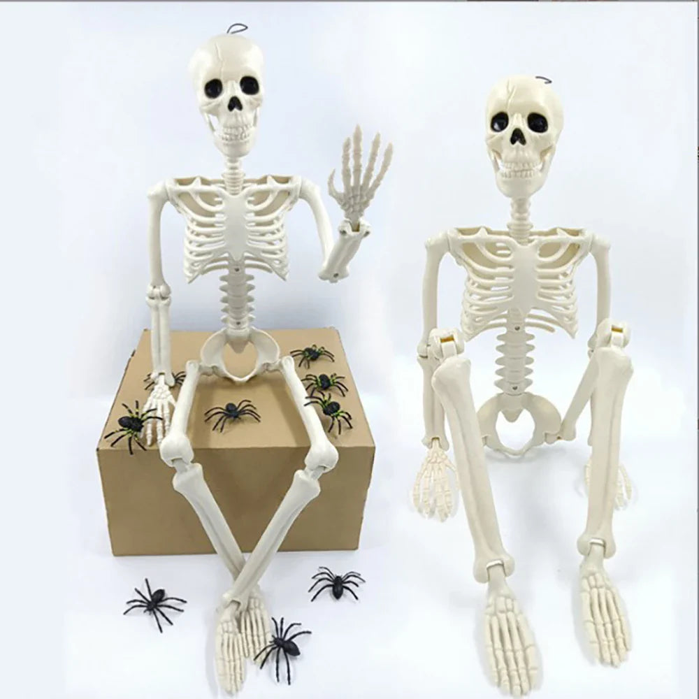 Halloween Posable Skeleton Decoration