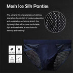 Panties Ice Silk Mesh Underwear