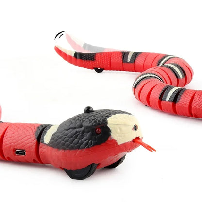 Interactive Snake Toy for Cats