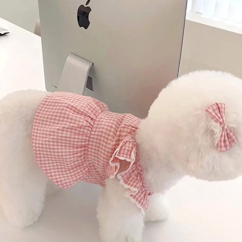Spring Summer Pet Dress