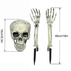 Skeleton Head and Arm Props