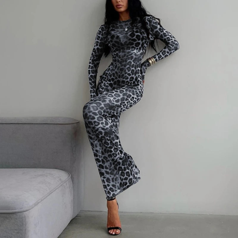 Sheer Leopard Print Long-Sleeve Dress