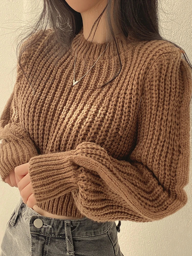 Loose Lantern Sleeve Sweater
