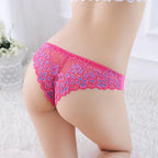 Lace Mesh Briefs