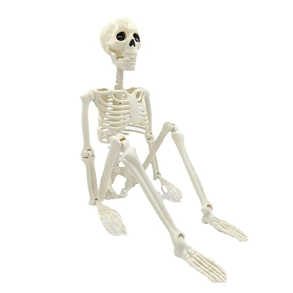 Halloween Posable Skeleton Decoration
