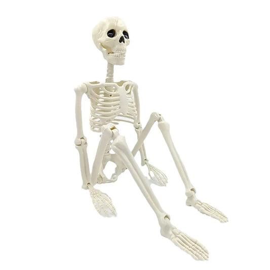 Halloween Posable Skeleton Decoration