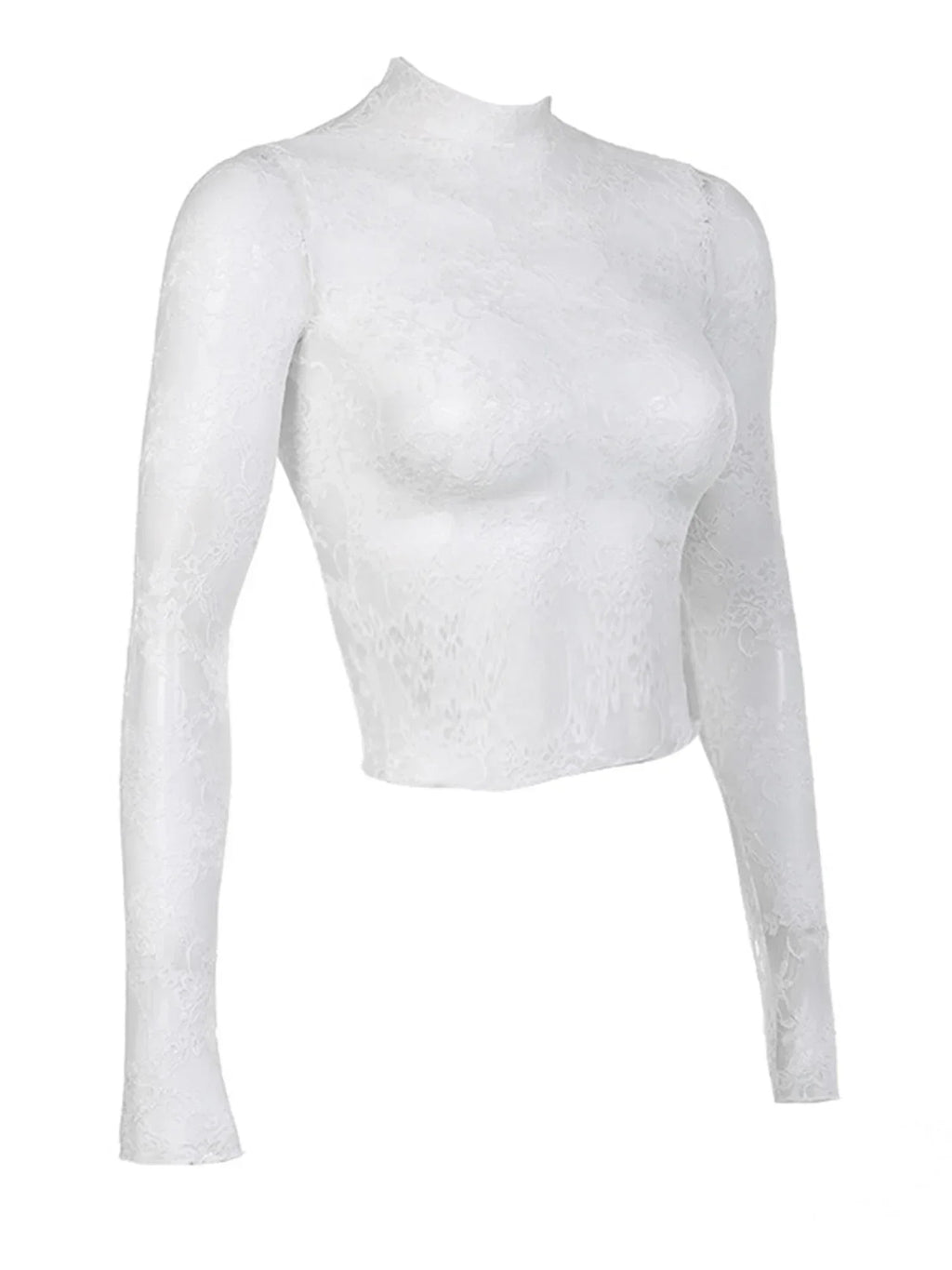 Lace Turtleneck Blouse