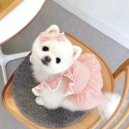 Spring Summer Pet Dress