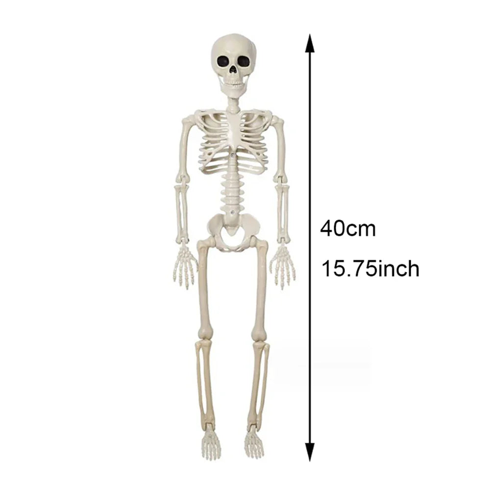 Halloween Posable Skeleton Decoration