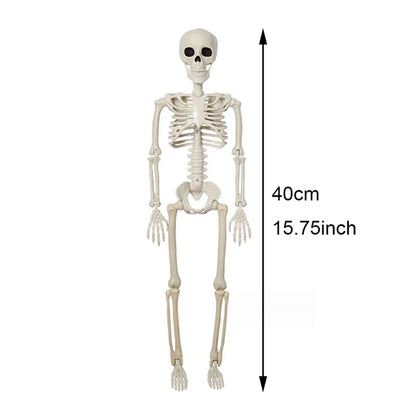 Halloween Posable Skeleton Decoration