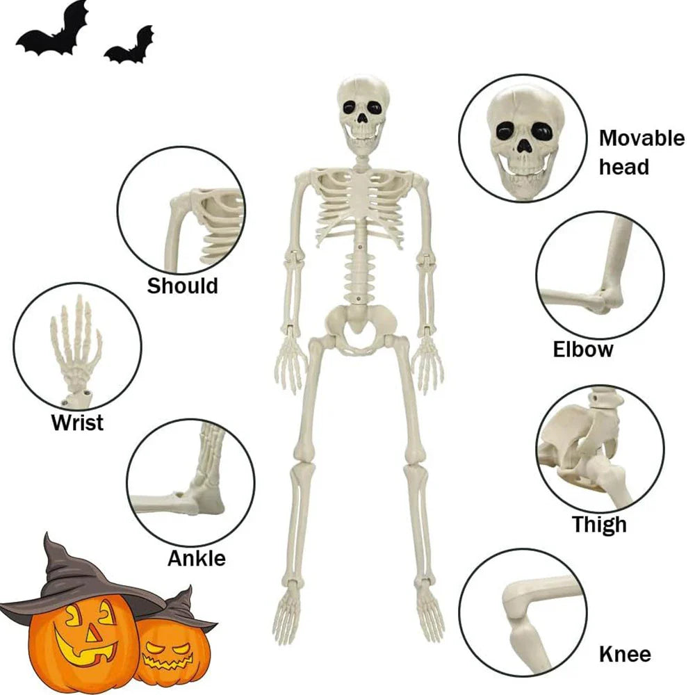 Halloween Posable Skeleton Decoration