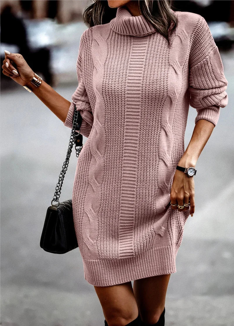 Turtleneck Knit Sweater Dress