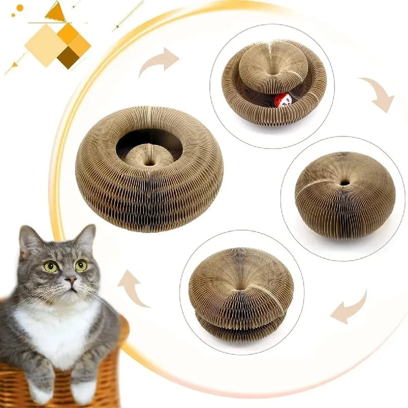 Kitten Curl Foldable Toy